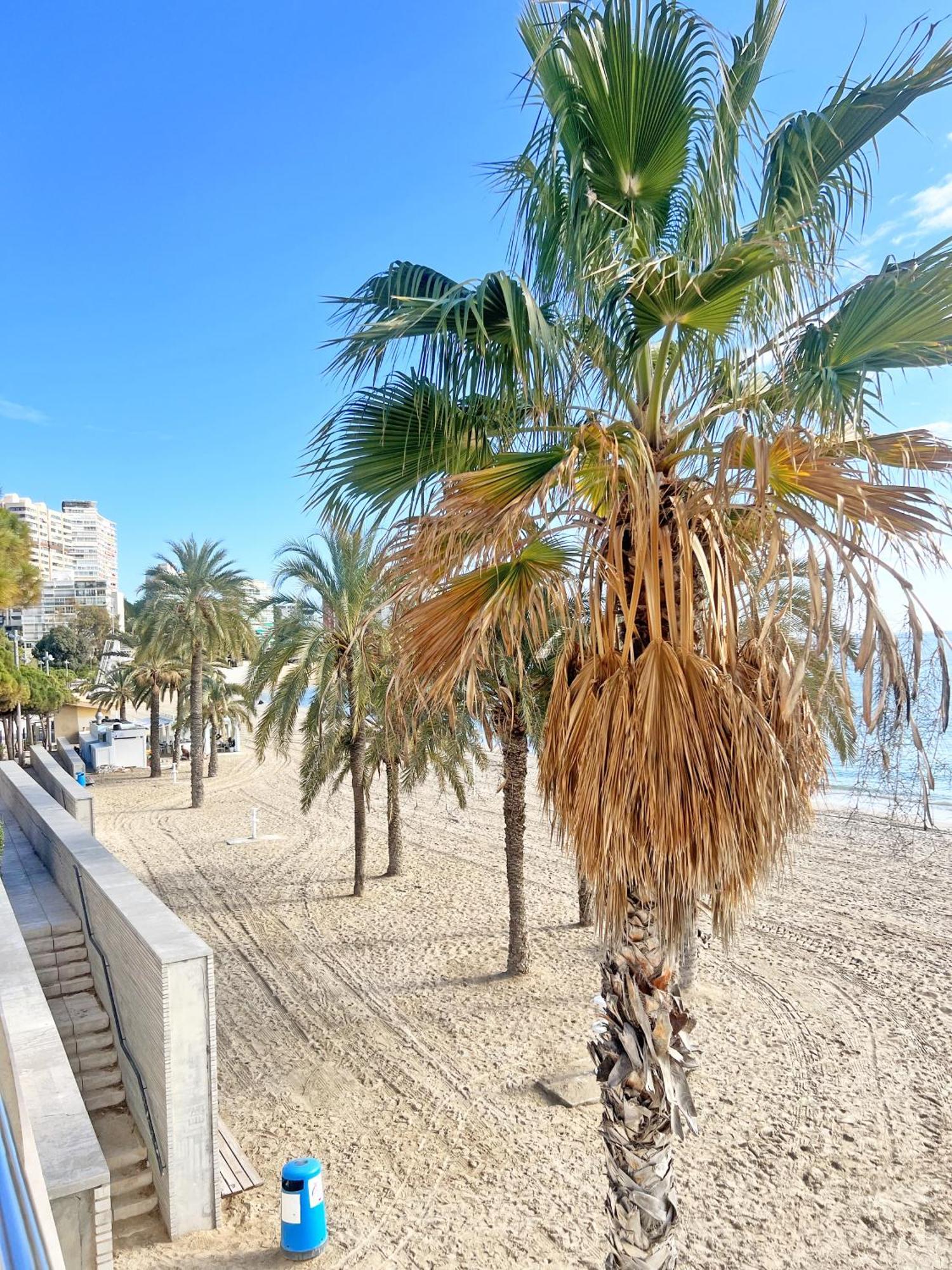 A 100M De La Playa. 2 Hab. A/C Leilighet Alicante Eksteriør bilde